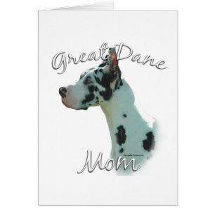 Great Dane (harlequin) Mum 2