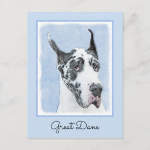 Great Dane (Harlequin) Painting - Original Dog Art Postcard