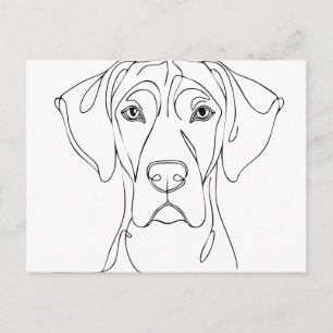 Great Dane Head drawing II Postcard