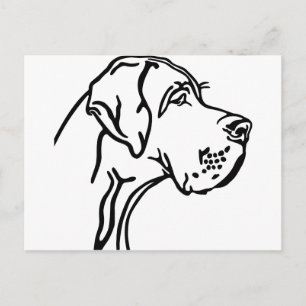 Great Dane Head drawing Postcard