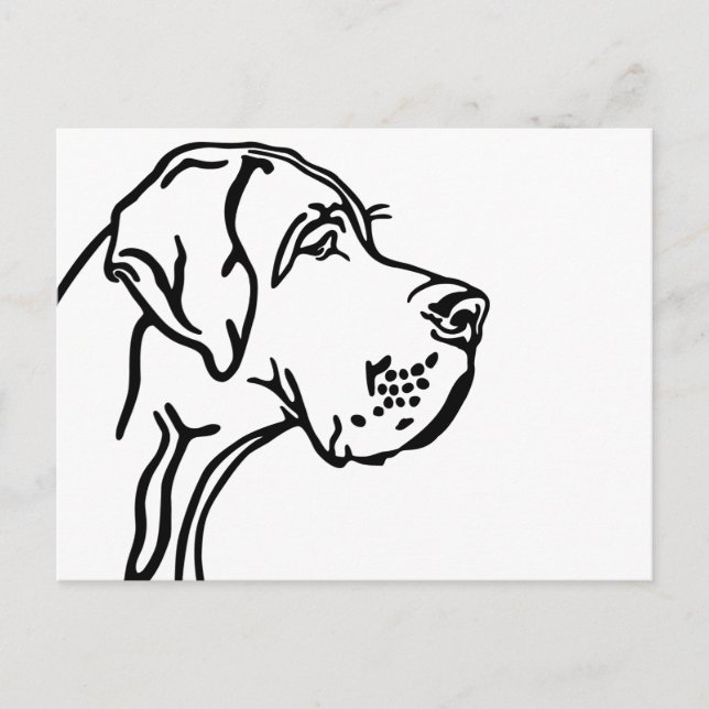 Great dane Head drawing Postcard (Front)