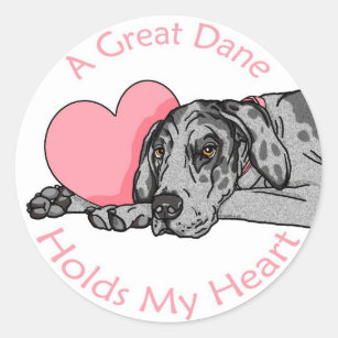 Great Dane Holds Heart Merle UC Classic Round Sticker