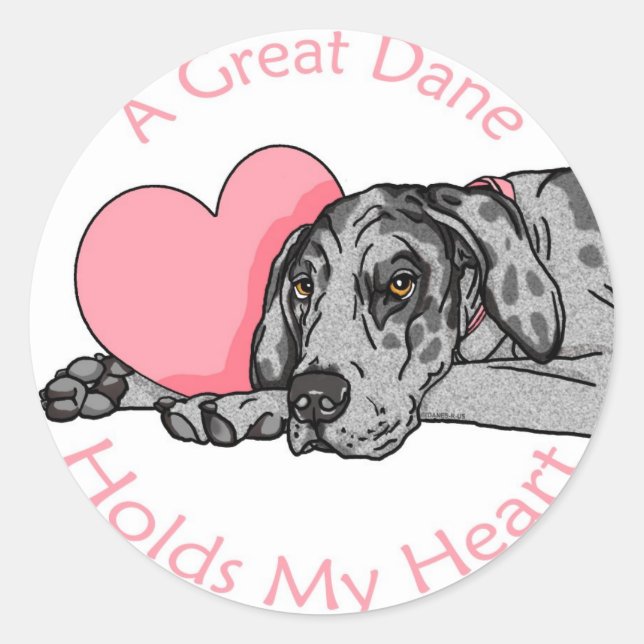 Great Dane Holds Heart Merle UC Classic Round Sticker (Front)