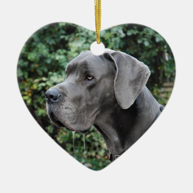 Great Dane Images Ceramic Ornament (Front)