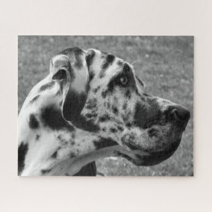 GREAT DANE JIGSAW PUZZLE