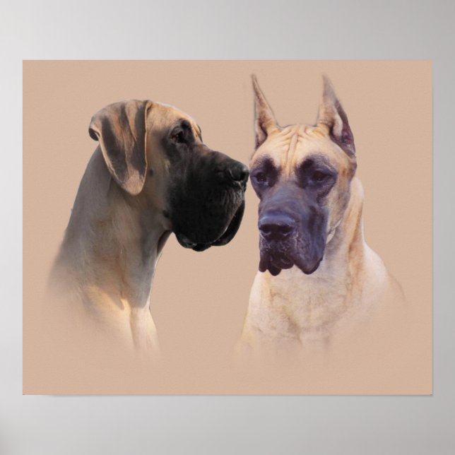 Great Dane King of Dogs Print (Front)