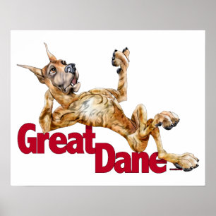 Great Dane Laid Back Brindle Poster