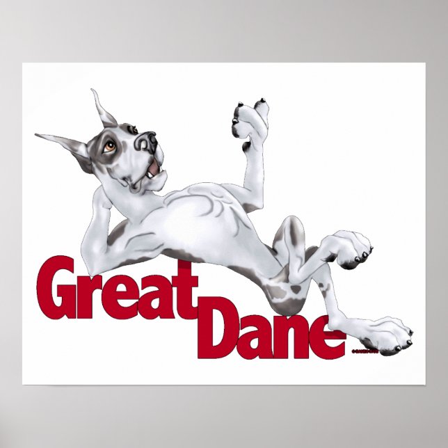 Great Dane Laid Back Harlequin Poster (Front)