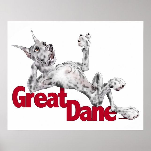 Great Dane Laid Back Merle Poster (Front)