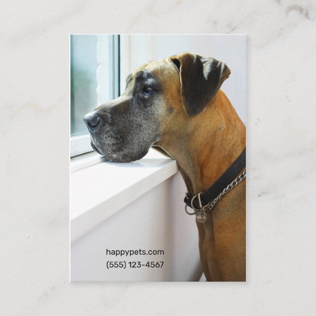 Great Dane Looking Out Window Dog Walker "Mighty"  Business Card (Front)