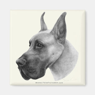 Great Dane Magnet