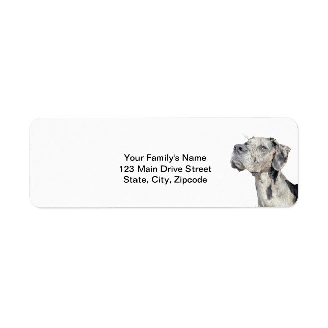 Great Dane Merle Return Shipping Address Label (Front)