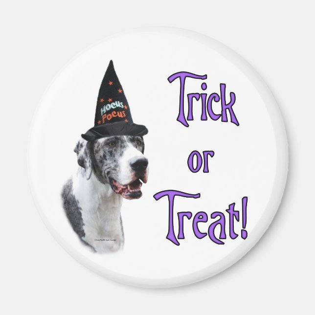 Great Dane (merle) Trick Magnet (Front)