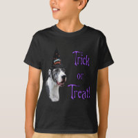 Great Dane (merle) Trick