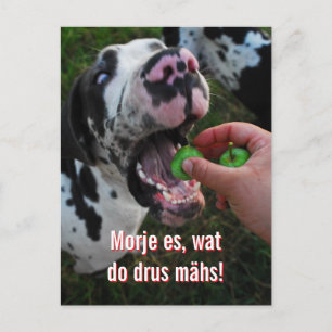 Great Dane Motto Motivation Postcard
