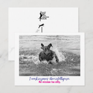 Great Dane: No mission too silly. Custom Cards