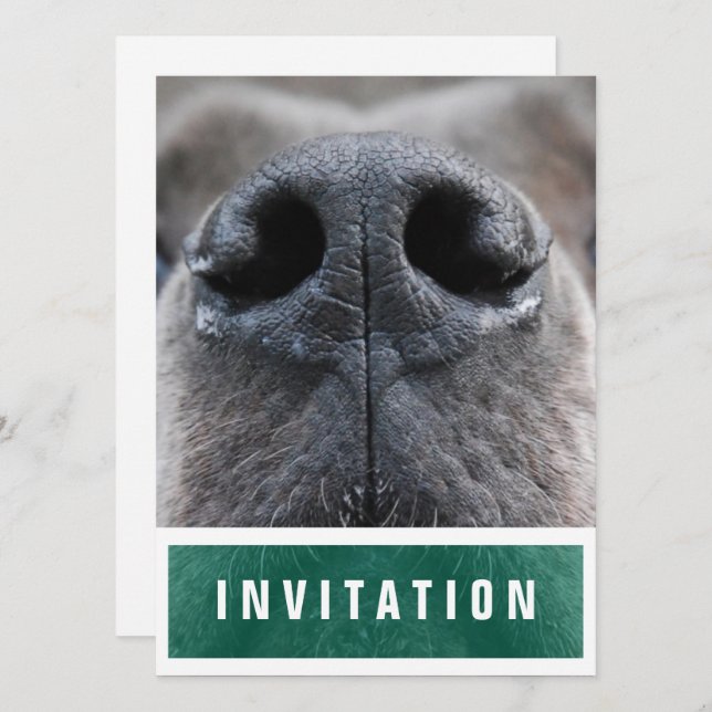 Great Dane Nose up Invitation (Front/Back)