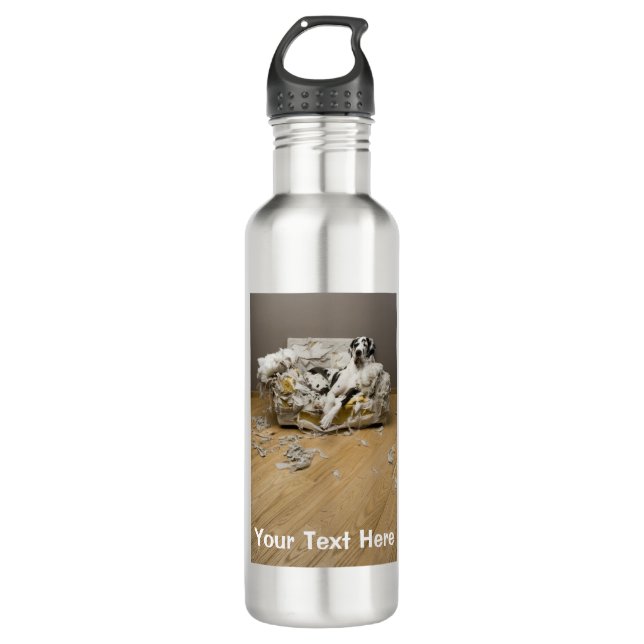 Great Dane on Chewed Sofa Aluminium 710 Ml Water Bottle (Front)
