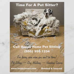 Great Dane on Chewed Sofa Pet Sitting Flyer 8x11