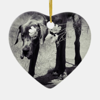 Great Dane Ornaments Photo Gift