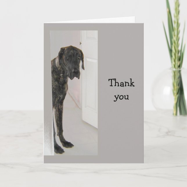 Great Dane  Pet Dog Humour Thank you Card (Front)