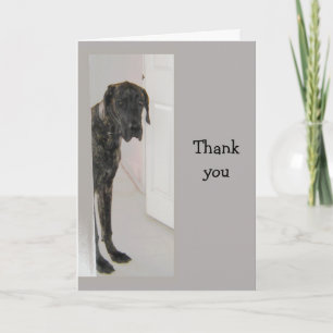 Great Dane  Pet Dog Humour Thank you Card