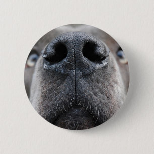 Great Dane Photo  6 Cm Round Badge