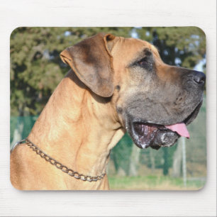 Great Dane Photo Mouse Pad