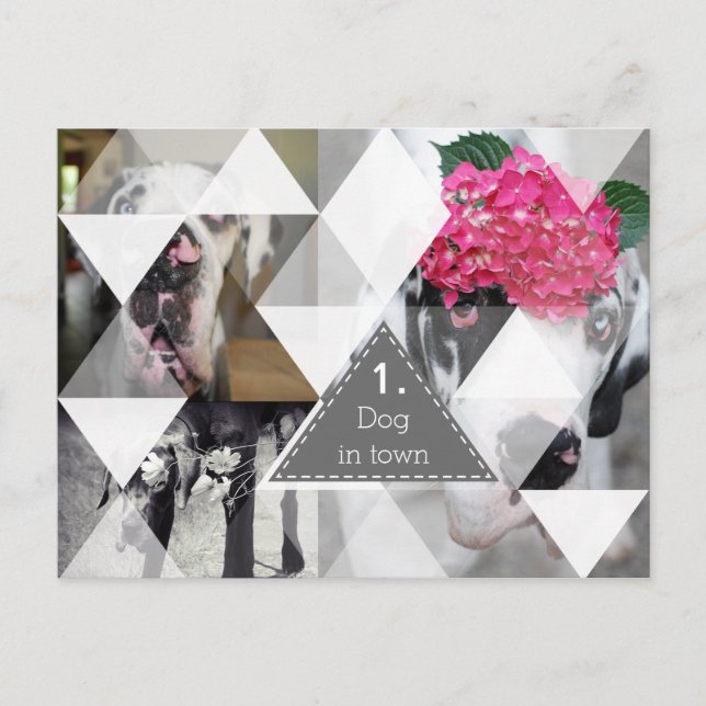 Great Dane Photographic Cards (Front)