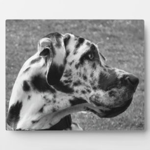 GREAT DANE PLAQUE
