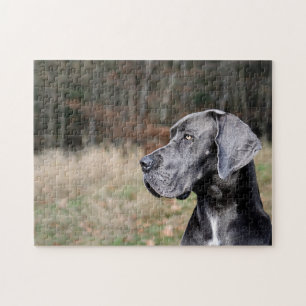 Great Dane Portrait Jigsaw Puzzle
