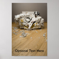 Great Dane Poster