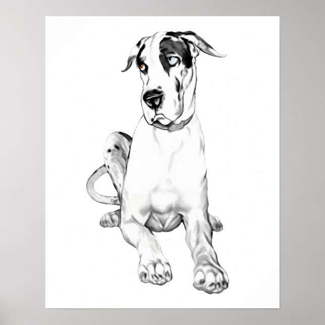 Great Dane Pouting Harlequin Poster (Front)