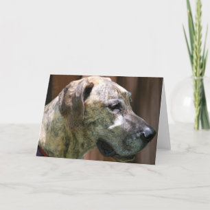 Great Dane Profile Greeting card