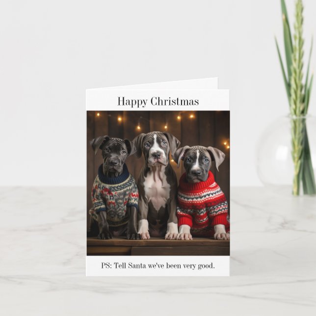 Great Dane Puppies Christmas Card (Front)