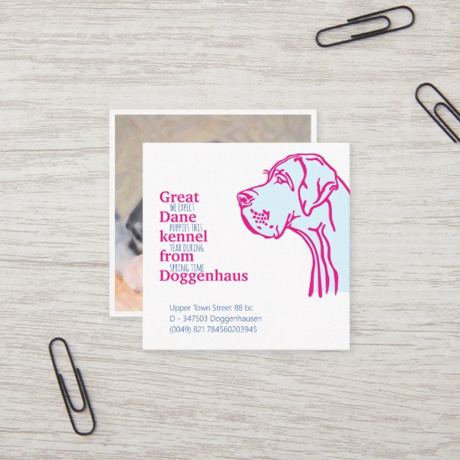 Great Dane puppies for sale cards (Front/Back In Situ)