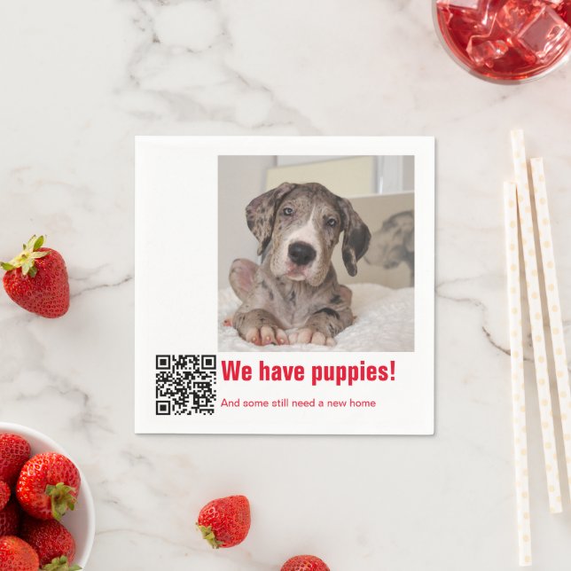 Great Dane Puppy for sale Napkin (Insitu)