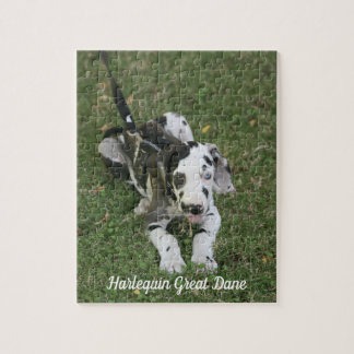 Great Dane Puppy Puzzle