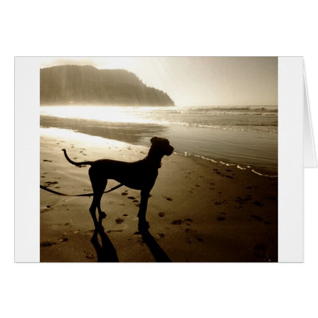 Great Dane Puppy Sunset (Front Horizontal)