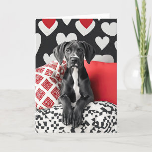 Great Dane Puppy Valentine Card