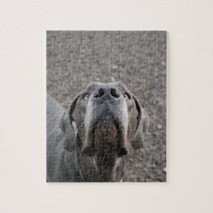 Great Dane Puzzle