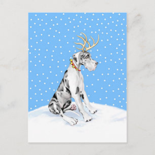 Great Dane Reindeer Christmas Harlequin UC Holiday Postcard
