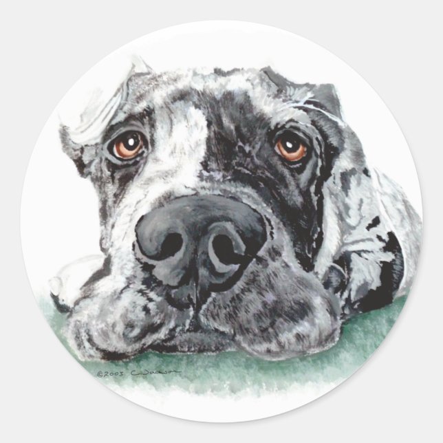 Great Dane Taped Up Merle Classic Round Sticker (Front)