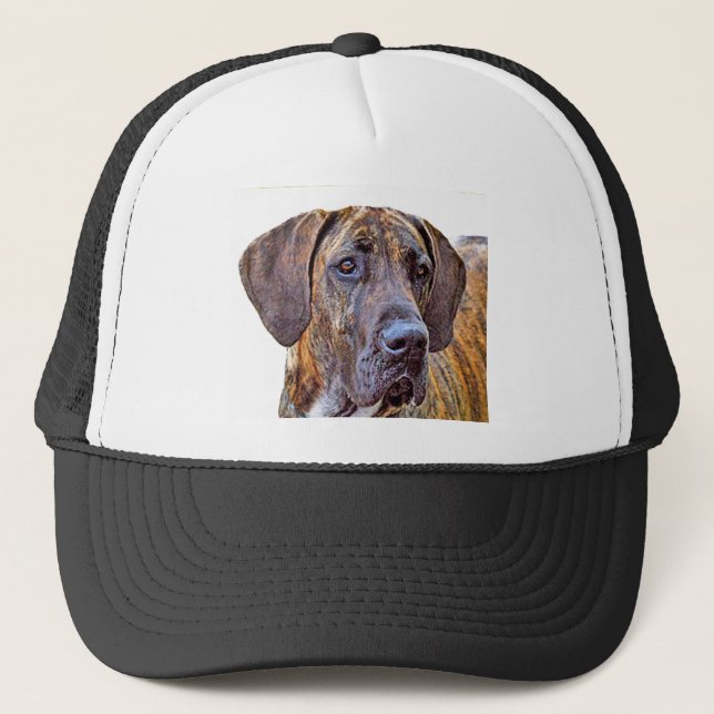 Great Dane Trucker Hat (Front)