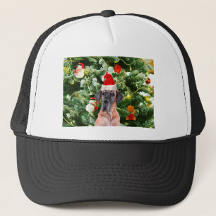 Great Dane w Christmas Tree Gift Boxes Santa Hat