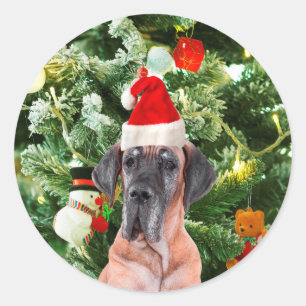 Great Dane w Christmas Tree Gift Boxes Santa Hat Classic Round Sticker