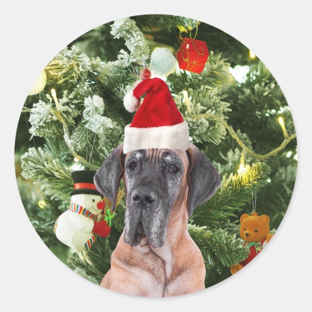Great Dane w Christmas Tree Gift Boxes Santa Hat Classic Round Sticker (Front)