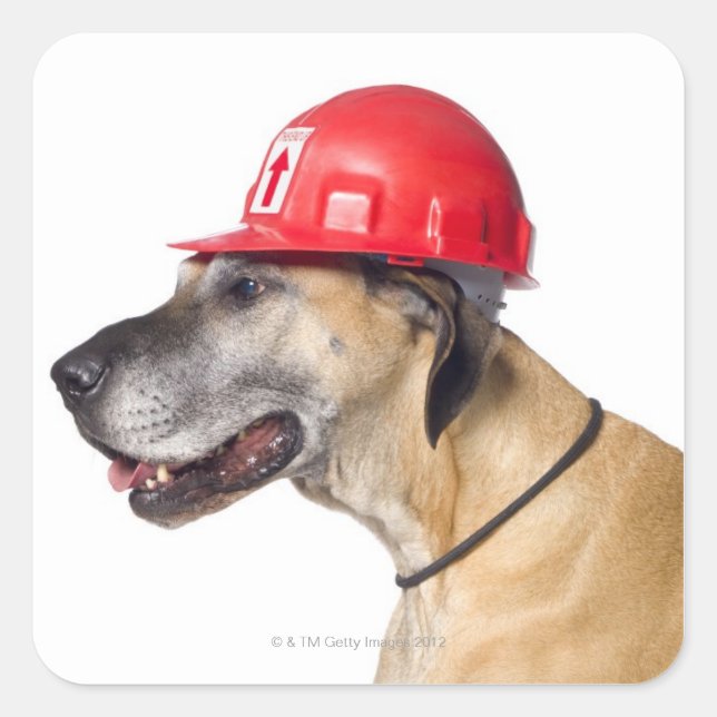 Great Dane wearing a red construction helmet Square Sticker (Front)