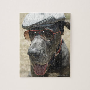 Great Dane wearing hat and sunglasses Jigsaw Puzzle