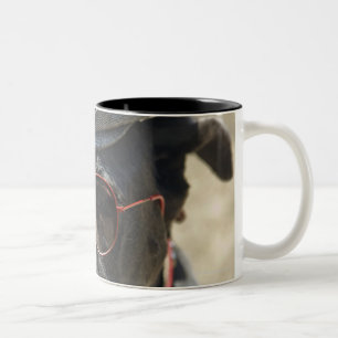 Great Dane wearing hat and sunglasses Two-Tone Coffee Mug